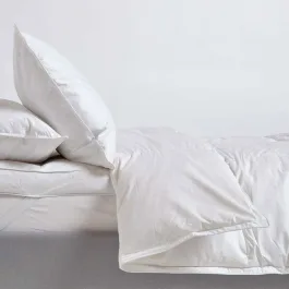 Homescapes Homescapes couette hiver duvet et plumes 260x220